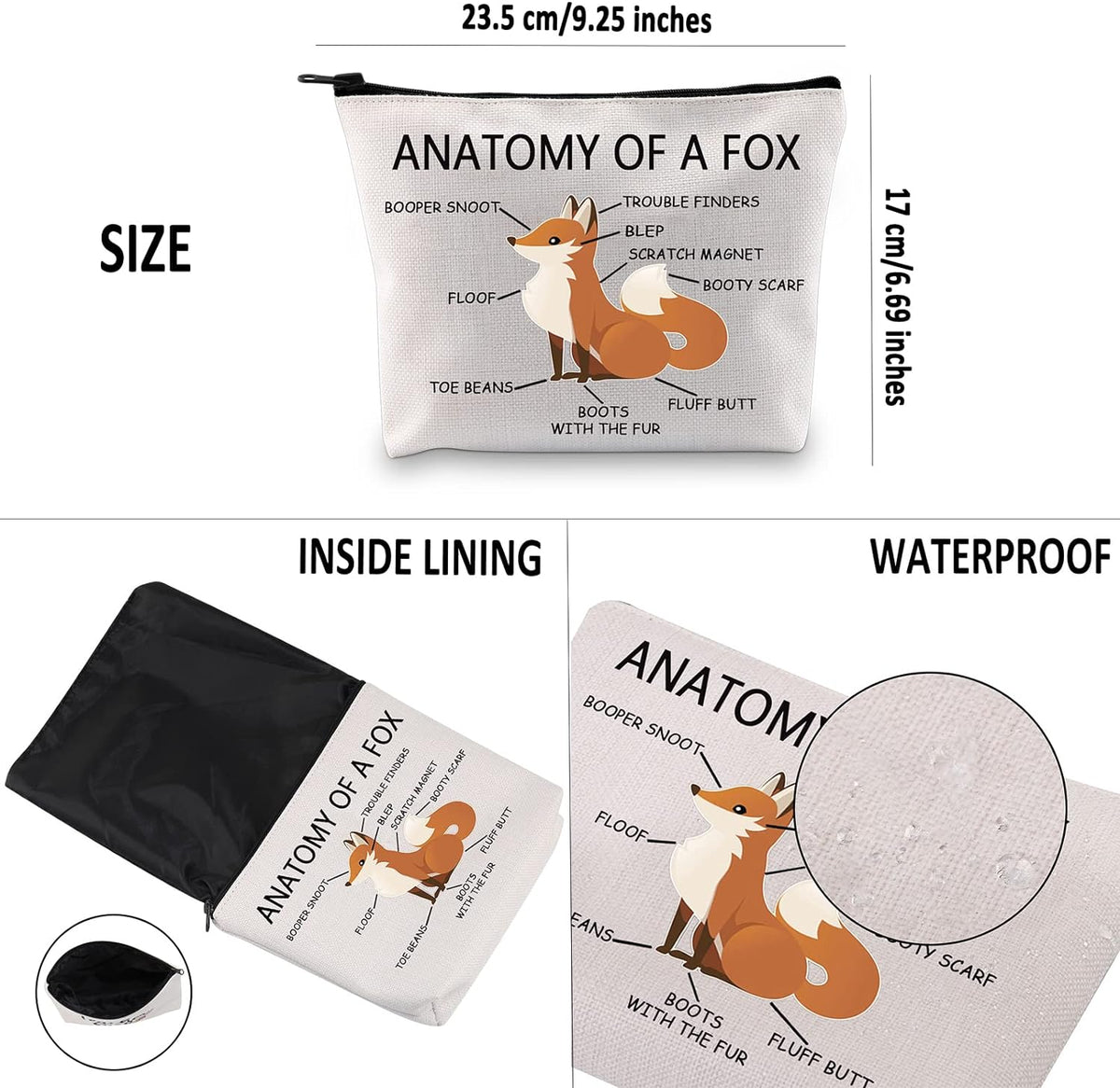 'Anatomy