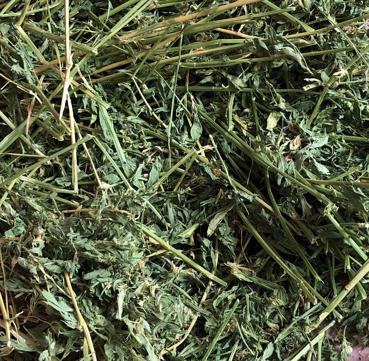 Photo inspiration: Fresh Look at New Alfafa Hay 500G Perfect For Growing Rabbits Guinea Pigs