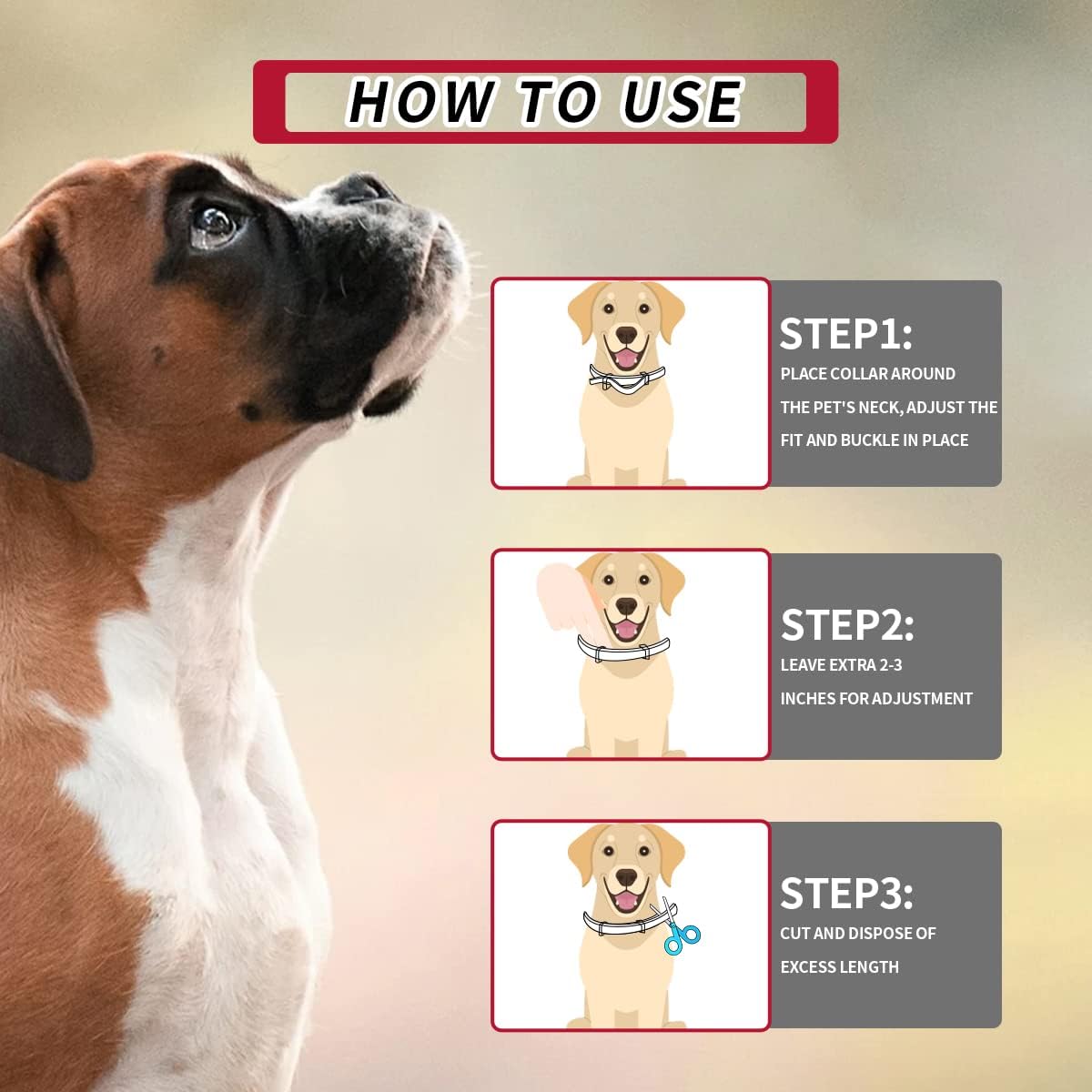 New Flea and Tick Collar for Dogs, Flea and Tick Prevention for Dog, 2 ... - Flea And Tick Control Collar With Gala Beads