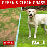 NEW PAWFECTCHEW Dog Pee Grass Helper - Grass Treatment for Dog Urine - Dog Urine Neutralizer for Grass Burn Spots - Dog Pee Lawn Repair Treats with Probiotics - Made in USA - 120 Chews, BB: 2027