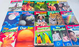 NEW Retails $135, Let’s Explore Earth & Space Science, 15 Book Set, Grade 1 Level