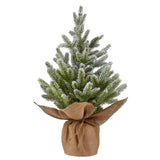 NEW CANVAS Small Frosted Flocked Christmas Decoration Artificial Tree in Burlap Sack, 20-in