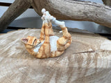 NEW IN BOX Collectible Country Artist A Breed Apart Figurine - Orange Tabby Cat Tinkerbell