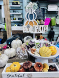 New 40 Piece Fall Decor Lot! Does not include white tall stands! View pictures to see the lot!