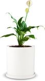 NEW Mozing Ceramic Plant Pots Indoor - Garden Planter Pot for Planting - Modern Flower Pots with Drainage Hole for Home & Office Decor (Large Frosted Surface)