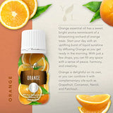 NEW Orange Essential Oil 15ml - Brighten Your Space with an Uplifting Citrus Aroma - Cleanse, Refresh, and Promote Wellness - Premium Young Living Essential Oils Retails $50+