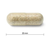 NEW Jamieson High Potency Organic Echinacea Capsules 1,200 mg, 120 capsules - Exp. 10/2026