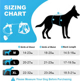 NEW Retails $177, Dog Lift Harness, Dog Lift Sling Carrier with Handle & Shoulder Sling, Support Harness for Rear Back Legs Helps, Disabled, Arthritis, Joint Injuries, Paralysis Up Stairs Blue, Extra Large）