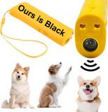 The Warehouse Liquidation Auction
