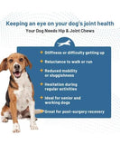 NEW Retails $50, Sealed Pittie Cool Chapo Chews 120 Glucosamine Hip & Joint Supplement for Dogs Chondroitin MSM Probiotics Hemp & Salmon Oil. Treats Arthritis Pain & Inflammation Mobility Heart & Gut Health, BB: 12/27
