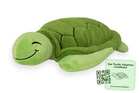 NEW Club Ocean Sea Turtle Adoption Plushie! Retails $45+