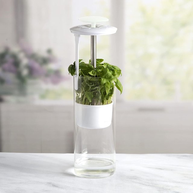 NEW IN BOX Wolfgang Puck Tempered Glass Herb Keeper with Ventilated Li ...