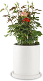 NEW Retails $50, Mozing Ceramic Plant Pots Indoor - Garden Planter Pot for Planting - Modern Flower Pots with Drainage Hole for Home & Office Decor (Small Frosted Surface)