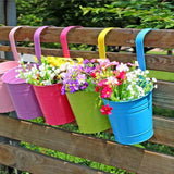 NEW 10 Pack Detachable Hook Metal Bucket Flowerpot Colored Garden Flower Pots/Hanging Flowerpots/Balcony Planters