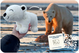NEW Club Ocean Polar Bear Adoption Plushie! Retails $45+