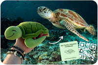 NEW Club Ocean Sea Turtle Adoption Plushie! Retails $45+