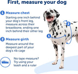 NEW PetSafe Easy Walk Harness, No Pull Harness for Dogs, Adjustable Harness with Included Matching Lead Black, Sz M