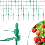 NEW Upgrade Tomato Cage, 36 Inches 6 Pack Adjustable Tomato Plant Support Cages for Garden, Tomato Stakes Trellis for Vegetables, Flowers, Fruit, Rose Vine, Climbing Plants