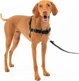 NEW PetSafe Easy Walk Harness, No Pull Harness for Dogs, Adjustable Harness with Included Matching Lead Black, Sz M