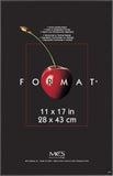 NEW MCS Format Frame, Black, 11 x 17 in, Single