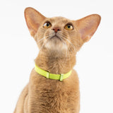 NEW Retails $35+ BuddyArmor Safety Cat Collar - U.S. IDA Gold Awarding Design, Elastic Quick Release, Non Breakaway - Lightweight for Kitten, Neck Fit 7.8'-15.7' for All Small Cat, Sz S (Vivid Red)