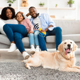 NEW Mein HERZ Handheld Dog Repellent Trainer, Anti Barking Device, LED Ultrasonic Dog Repeller and Trainer Device 3 in 1 Anti Barking Stop Bark Handheld Dog Training Device, with LED Flashlight