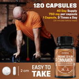 NEW Sealed Organic Ceylon Cinnamon Capsules – 2250mg Daily (750mg Each) with Bioperine for Absorption | Vegan, Non-GMO | 120 Capsules – Kasha Nutrition | BB: 01/29