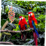 NEW Mipcase 1pc Parrot Chew Toy Wooden Decor Wood Toys Large Bird Cage Parakeet Chew Toys Wood Bird Toy Bird Toys for Conures Bird Toys for Parakeets Funny Parakeet Toy Bird Accessory Birds