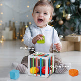 NEW Montessori Toys for 1 Year Old, Activity Cube Baby Toys 6-12-18 Months Development, Shape Sorter Learning Sensory Toys for Toddlers 1-2, Baby Stuff Birthday Gifts for Baby Boys and Girls