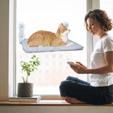 NEW Cat Window Perch Cordless Foldable Cat Hammock for Indoor Cats，Cats Window Seat with Metal Frame and Suction Cups, Replaceable Soft Covers Included (Medium)