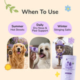NEW kin+kind Nose & Paw Balm Stick for Dogs & Cats, USDA Certified Organic, Natural Moisturizer with Coconut Oil & Shea Butter, Lick-Safe, 50g, BB: 12/26