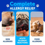 NEW Sealed Rrobiotics for Dogs - Support Gut Health, Itchy Skin, Allergies, Immunity, Yeast Balance - Dog Probiotics and Digestive Enzymes with Prebiotics - Reduce Diarrhea, Gas - 90 Probiotic Chews for Dogs, BB: 08/26