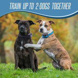 NEW PetTech PT0Z1 Premium Dog Training Shock Collar Fully Waterproof 1200ft Range