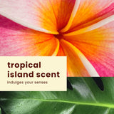 NEW Hawaiian Tropic Sheer Touch Lotion Sunscreen SPF 50, 240mL | Hawaiian Tropic Sunscreen SPF 50, Broad Spectrum Sunscreen, Body Sunscreen, 240mL