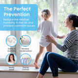 LIKE NEW Retails $60, Pro Breeze Electric Small Dehumidifier 215 sq ft (1200 cubic feet) Coverage for High Humidity Home Office Basement, Compact and Portable with Auto Shut Off, 17-ounce