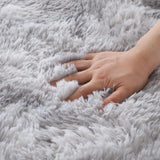 NEW Fluffy Rug for Living Room 2x3 Tie-Dyed Luxurious Area Rug Shaggy Rug for Bedroom Kid Rug for Play Room Modern Carpet for Home Decor, Light Grey