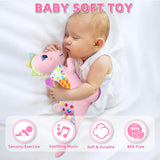 NEW Baby Sensory Dino Musical Stuffed Animal Toys for 0-3-6-9-12 Months, Infant Dinosaur Tummy Time Toys with Crinkle Sound Paper, Teether, Textures & Rattles for Newborn Boys Girls Birthday Gifts, Pink