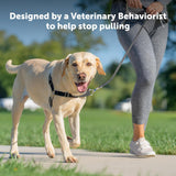 NEW PetSafe Easy Walk Harness, No Pull Harness for Dogs, Adjustable Harness with Included Matching Lead Black, Sz M