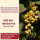 NEW Sealed Berberine Supplement Liquid Drops 60 ML, Berberine HCL drops, BB: 09/27