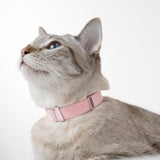 NEW Retails $35+ BuddyArmor Safety Cat Collar - U.S. IDA Gold Awarding Design, Elastic Quick Release, Non Breakaway - Lightweight for Kitten, Neck Fit 7.8'-15.7' for All Small Cat, Sz S (Vivid Red)