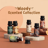 NEW Woody Essential Oils Set, ARVIDSSON Natural Aromatherapy Oils Gift Set, Manly Fragrance Oil for Diffuser - Sandalwood, Frankincense, Cedar, Pine, Leather, Teakwood, Gift for Women and Men, BB: 05/28