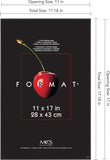 NEW MCS Format Frame, Black, 11 x 17 in, Single