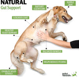NEW Retails $40, Deley Naturals Probiotics for Dogs - Dog Probiotics Chewable with 6 Digestive Enzymes & 4 Billion CFUs - Probiotic Chews for Dogs Gut Health Diarrhea & Digestion - Digestive Balance Dog Supplements, BB: 04/27