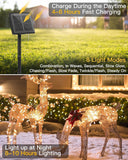 NEW Solar String Lights Outdoor Waterproof, 2 Packs Total 66FT 200 LED Solar Fairy Lights with 8 Light Modes, Solar Powered Firefly Lights Outdoor for Patio Yard Tree Garden Christmas (Warm White)