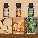 NEW Woody Essential Oils Set, ARVIDSSON Natural Aromatherapy Oils Gift Set, Manly Fragrance Oil for Diffuser - Sandalwood, Frankincense, Cedar, Pine, Leather, Teakwood, Gift for Women and Men, BB: 05/28