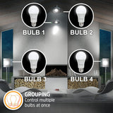 NEW Energizer Connect Smart A19 LED White & Multi-Color RGB Light Bulb with Voice Control and Remote Access Through Your Smartphone | Compatible with Alexa and Google Assistant Retails $30+