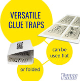 NEW TERRO T3206SR 3 Pack Spider & Insect Trap-12 Traps, 3 Pack, White