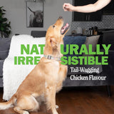NEW Retails $40, Deley Naturals Probiotics for Dogs - Dog Probiotics Chewable with 6 Digestive Enzymes & 4 Billion CFUs - Probiotic Chews for Dogs Gut Health Diarrhea & Digestion - Digestive Balance Dog Supplements, BB: 04/27