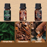 NEW Woody Essential Oils Set, ARVIDSSON Natural Aromatherapy Oils Gift Set, Manly Fragrance Oil for Diffuser - Sandalwood, Frankincense, Cedar, Pine, Leather, Teakwood, Gift for Women and Men, BB: 05/28