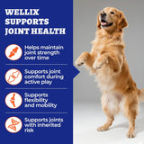 NEW 260g Wellix Dog Hip and Joint Chews with Glucosamine Chondroitin MSM Natural & Healthy Ingredients for Senior Dogs Joint Care, BB: 06/27
